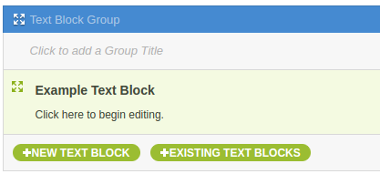 Example Text Block
